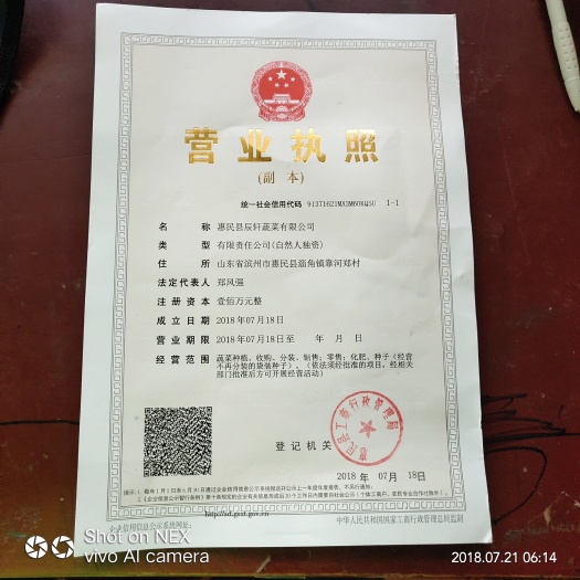 商河县西芹种苗