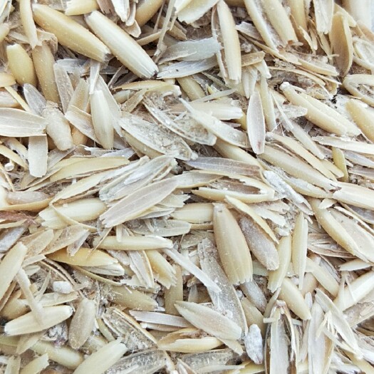 东莞市糠麸饲料  麦壳