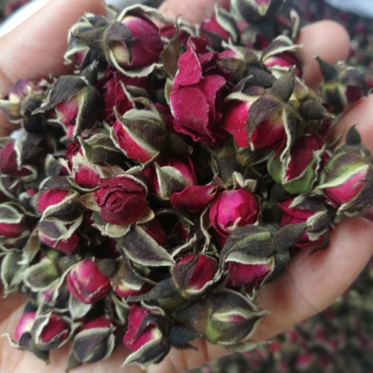 昆明玫瑰花茶  绿色金边玫瑰