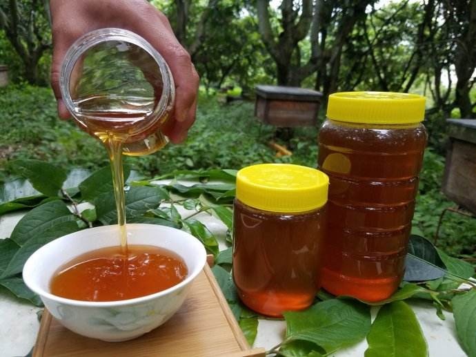 龙眼蜜 优质蜂蜜
