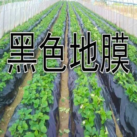 沭阳县黑地膜 