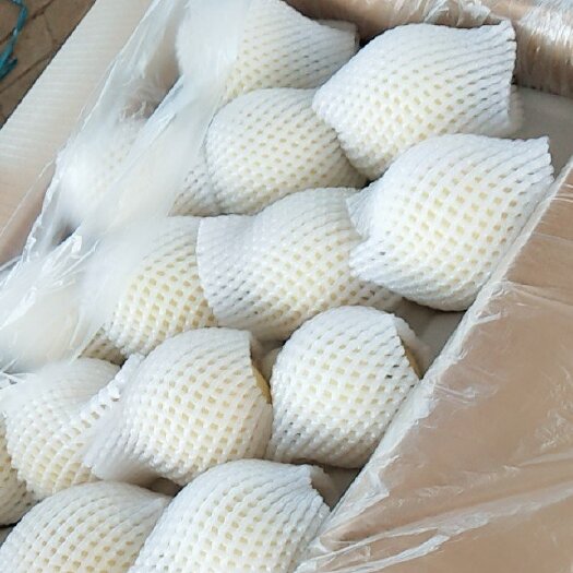 饶阳县皇冠梨 250-300g 75mm以上