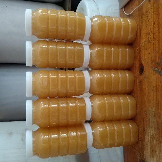 平南县百花蜜  蜂蜜   结晶蜂蜜   自产自销优质蜂蜜