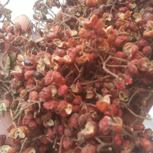 芮城县大红袍花椒 特级 干花椒