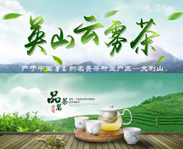 英山县茶叶湖北特产英山云雾茶手工茶机械茶高山绿茶