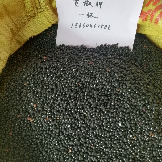 泰安花椒种子