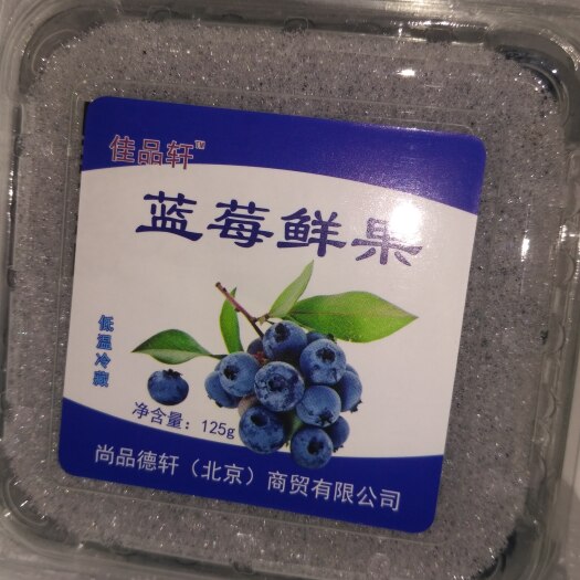 西昌市兔眼蓝莓 8 - 10mm以上 鲜果 