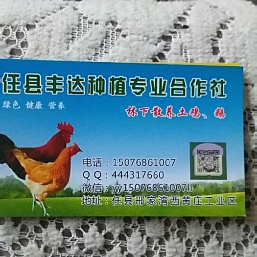邢台 正宗的土鸡蛋和鹅蛋，营养丰富，欢迎大家来选购