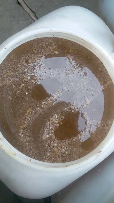 韩城市百花蜜 玻璃瓶装 98% 2年以上 
