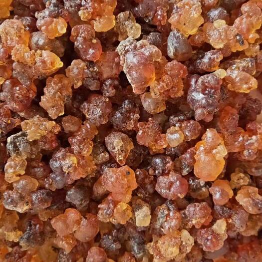 随州 天然桃胶统货黄胶 黄红胶需要的联系