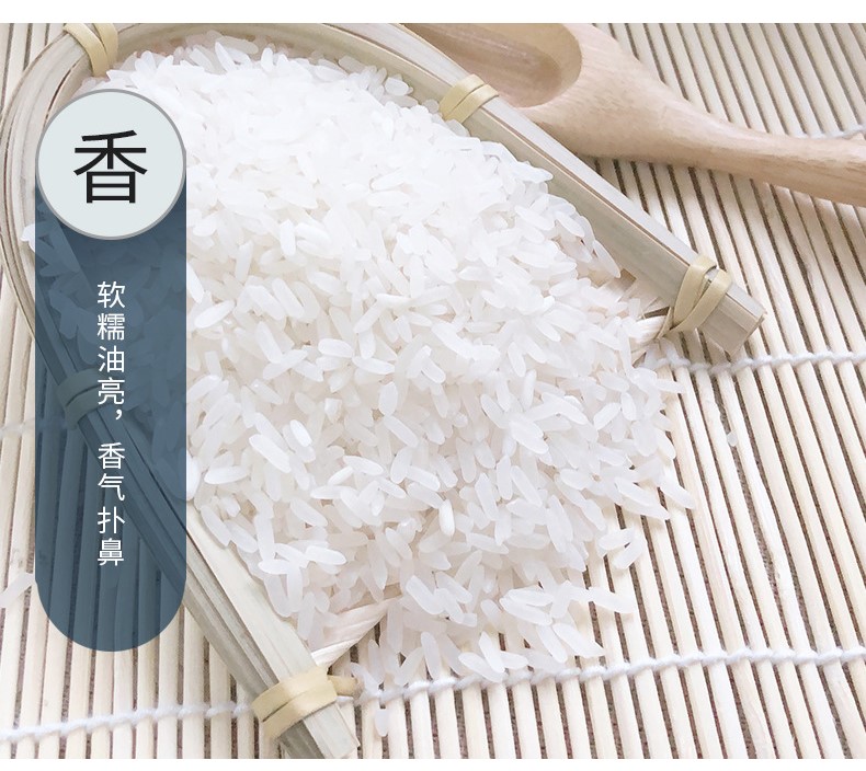 长粒香  厂家直销长粒圆粒混合大米青米25kg安徽迪沟大米煮饭熬粥