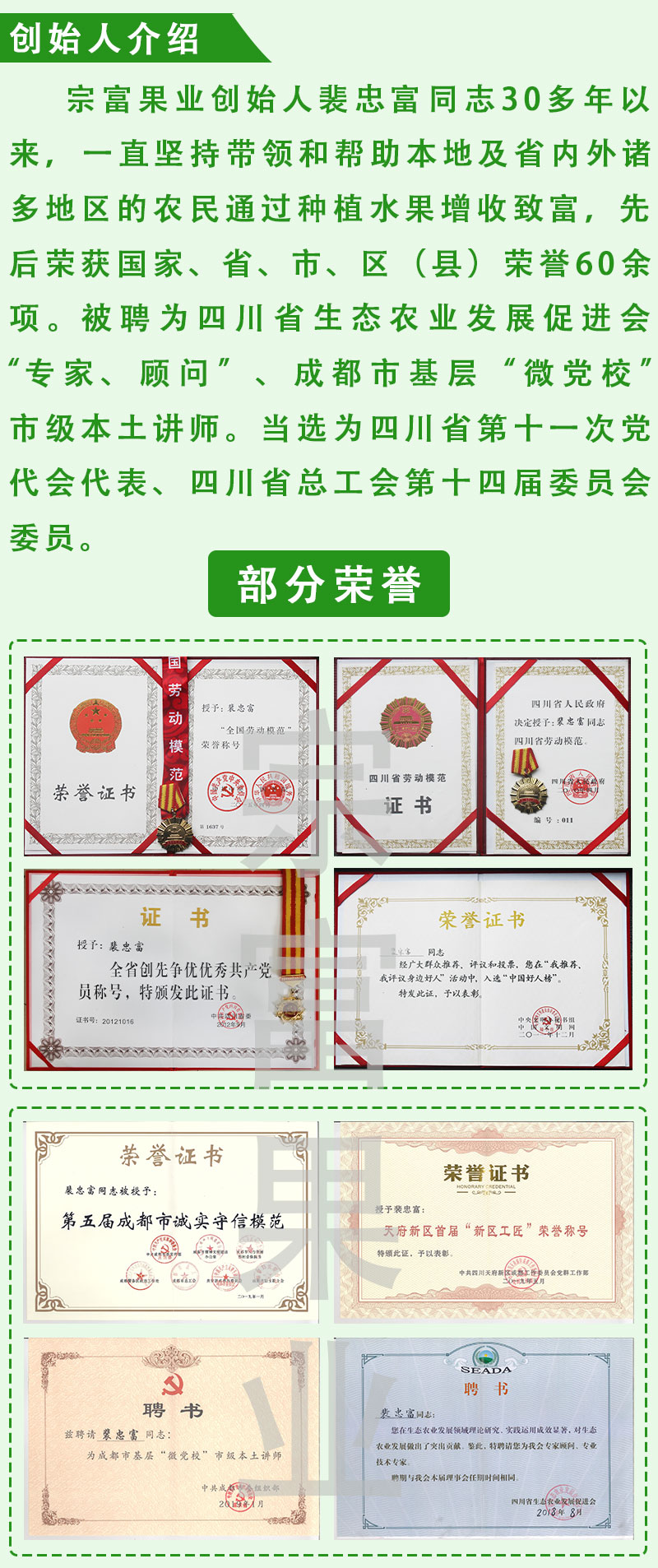  李子树苗价格，蜂糖李苗供应，优良李子苗批发，品种纯正