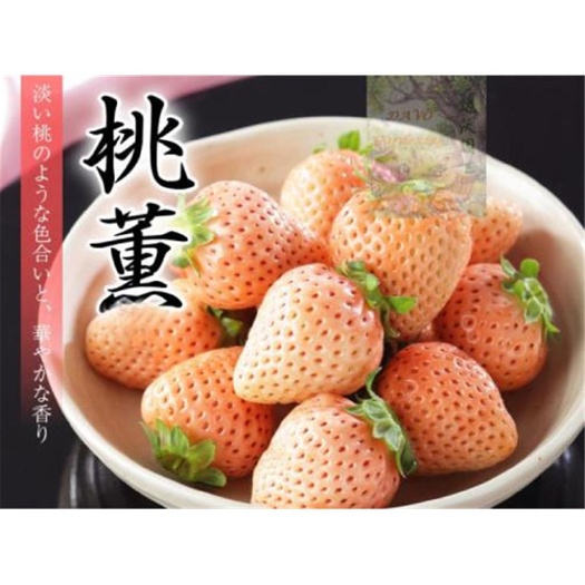 平邑县桃熏草莓苗 地栽盆栽南北方种植结果多成活率保证喜欢可拍下