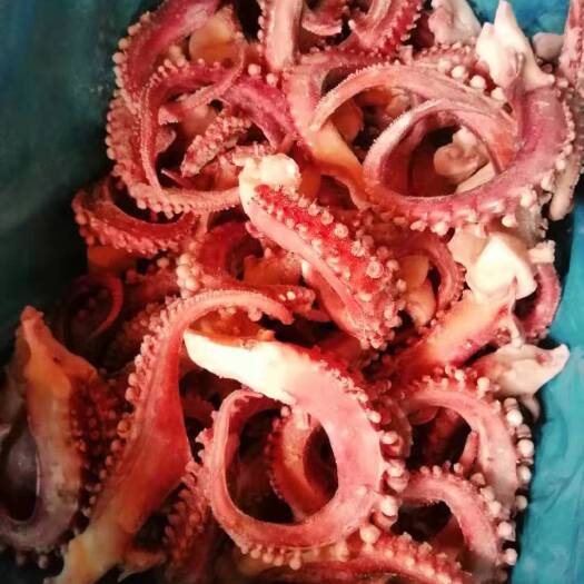 深圳章鱼足 秘鲁 章鱼须 章鱼脚 
欢迎团购询价 厂价直批