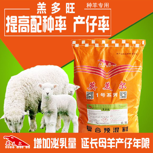 徐州牛羊饲料  母羊专用饲料预混料
