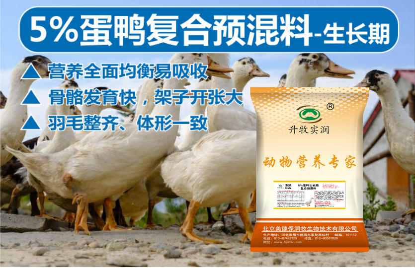 营养添加剂  蛋鸭生长期专用预混料厂家直销买十赠一