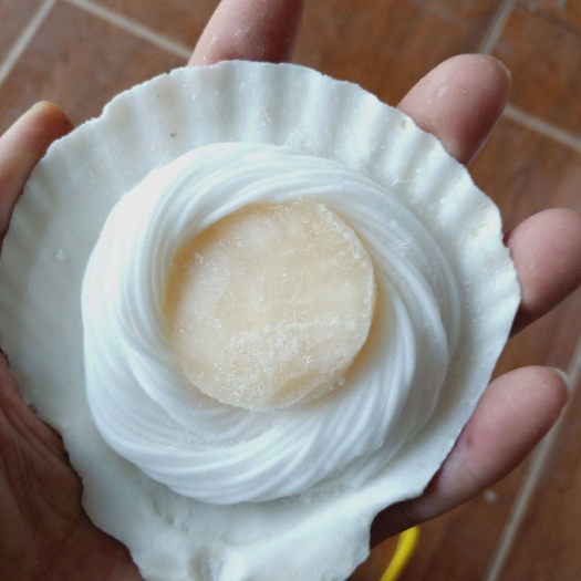 深圳 粉丝贝 蒜蓉粉丝扇贝 规格10-12cm
欢迎询价 现货