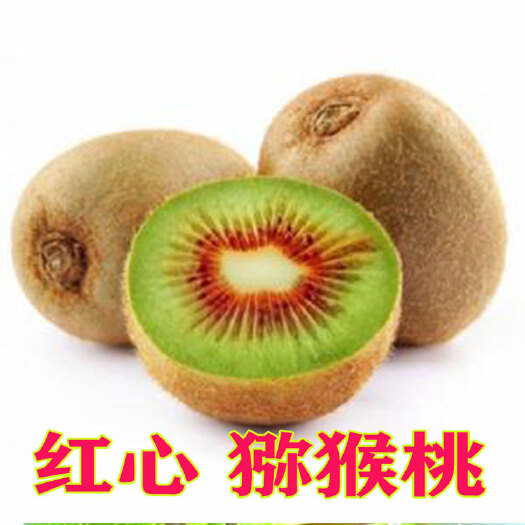 平邑县红心猕猴桃苗 猕猴桃树苗盆栽地栽嫁接苗南方果树苗当年结果