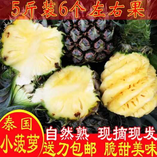 徐闻县 湛江徐闻曲界小菠萝8斤 新鲜水果泰国品种香水小波菠萝包邮
