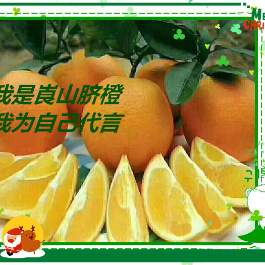 新宁县 崀山脐橙，5斤小果（55-65）20元包邮