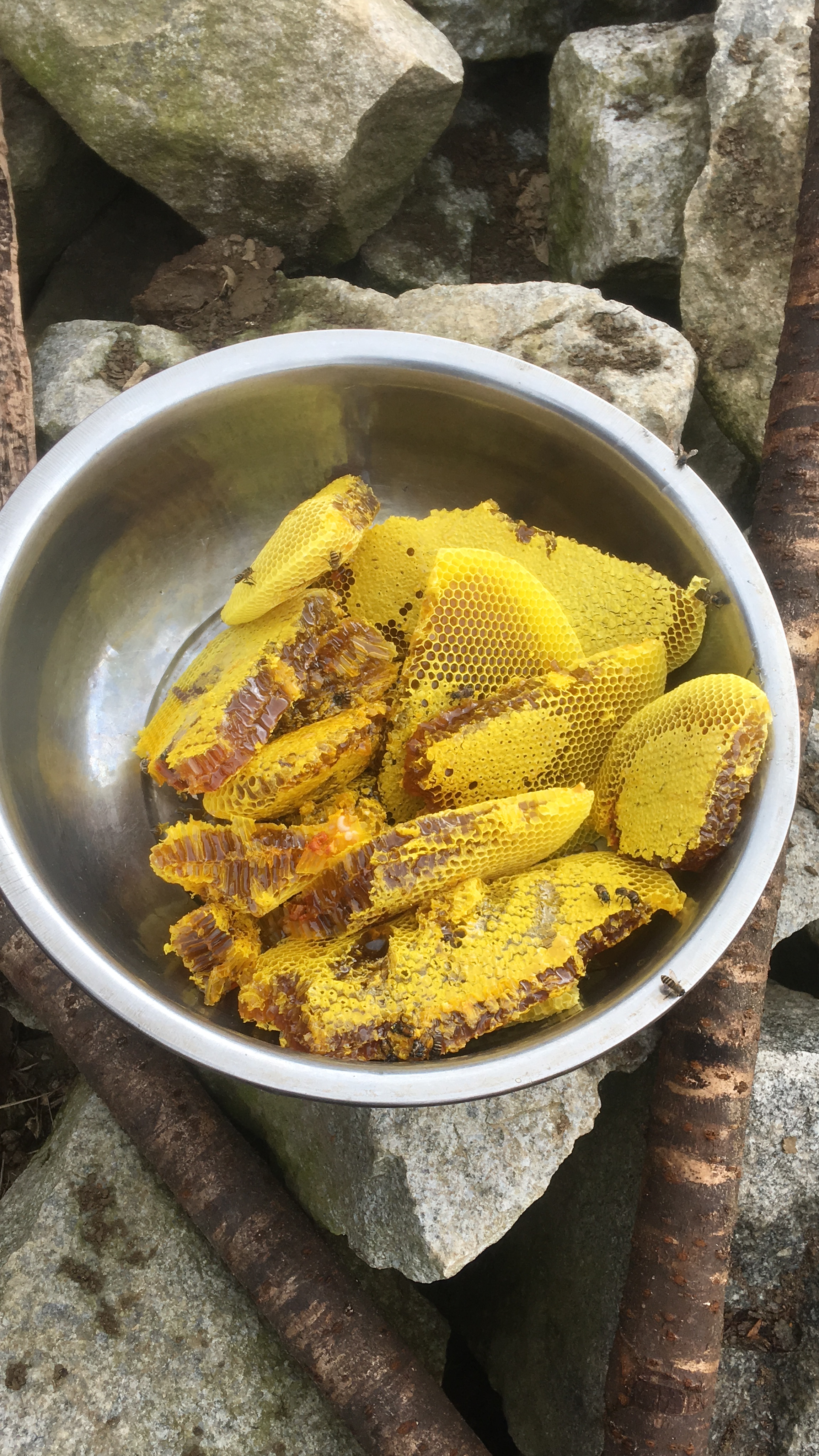 纯正云南高山野生土蜂蜜