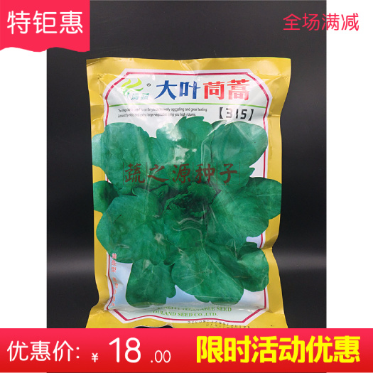 英德市茼蒿菜种子大叶茼蒿种子315秋季冬季播种家庭阳台大田播种