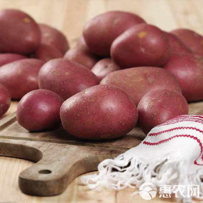 红土豆  农家自种9斤新鲜蔬菜红皮土豆黄心土豆马铃薯5斤包邮马铃薯