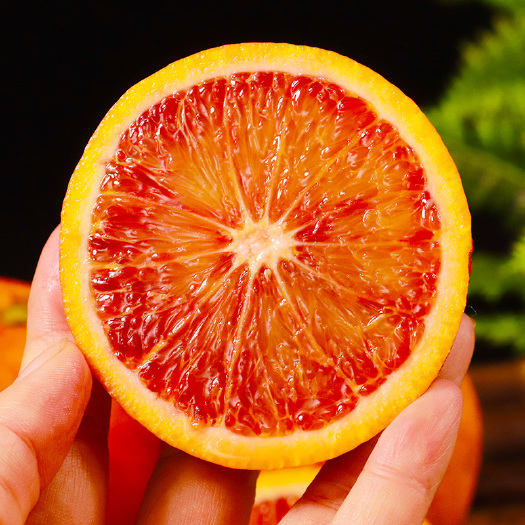  四川塔罗科血橙子新鲜时令水果包邮