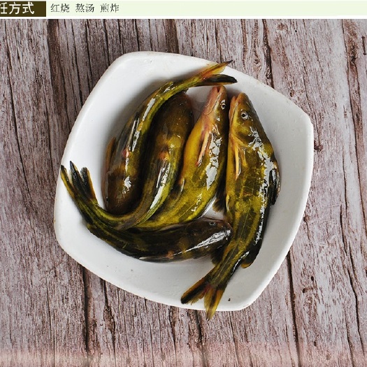  水库鱼黄颡鱼嘎鱼黄辣丁昂刺鱼淡水黄骨鱼新鲜净膛熬汤包邮