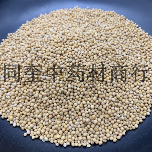 白芥子  量大从优  批发各种中药材 康辰药业