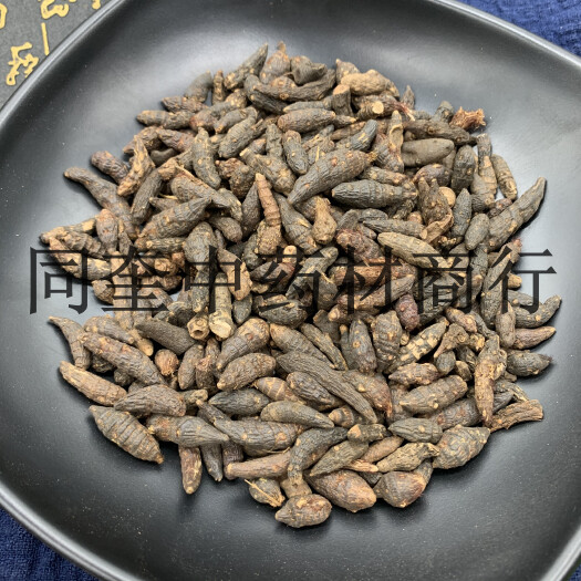 鄄城县香附  香附个 香附  三棱草批发各种中药材康辰药业