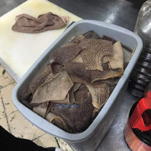荆州 大叶片毛肚，刺长肉厚，完全大叶片，量大从优！