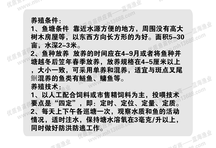 【基地直销】优质叉尾鱼苗 美国斑点叉尾鮰鱼苗
