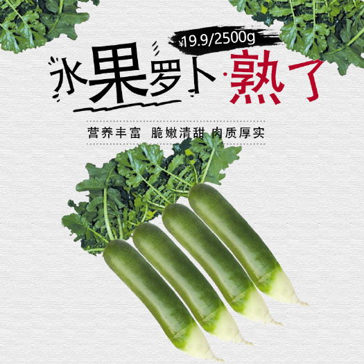 毕节 水果萝卜水果般的口感贵州毕节产地10斤礼盒装全国包邮