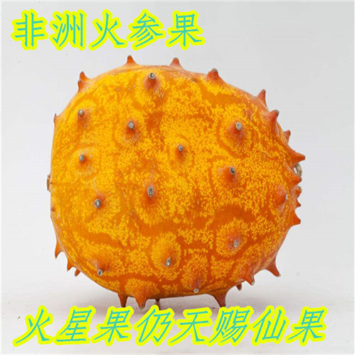 火参果种子火星果海参果非洲蜜瓜刺角瓜奇异瓜果 四季种水果