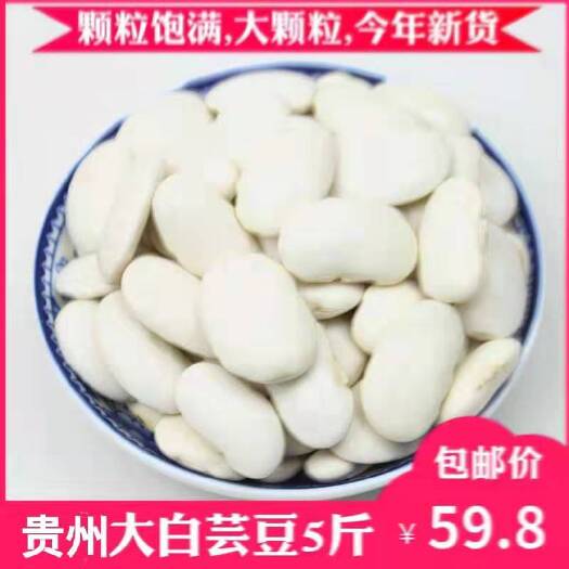毕节 毕节市七星关区 大河口 大白豆 大粒白芸豆2.5kg包邮