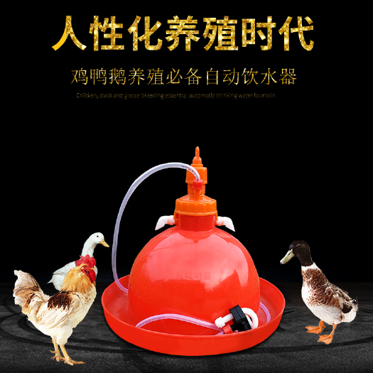 盐城饮水设备 加厚鸭鹅鸡用普拉松自动饮水器饮水壶喂水器鸡水壶养鸡养殖设备