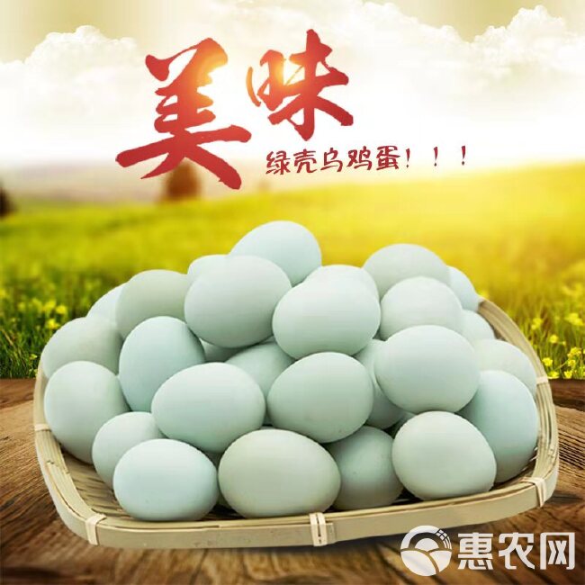 绿壳蛋  全年批发整箱420枚/箱农村散养绿壳土鸡蛋农家鲜艳乌鸡蛋