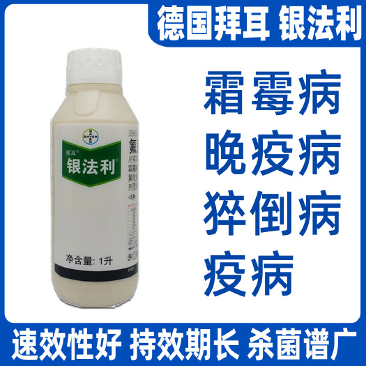 武汉德国拜耳银法利农药杀菌剂葡萄蔬菜氟菌霜霉威晚疫病