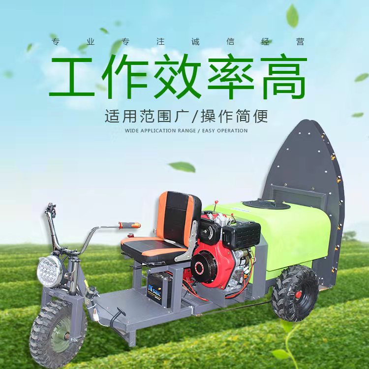 风送打药机 果园推送式打药机厂家直销