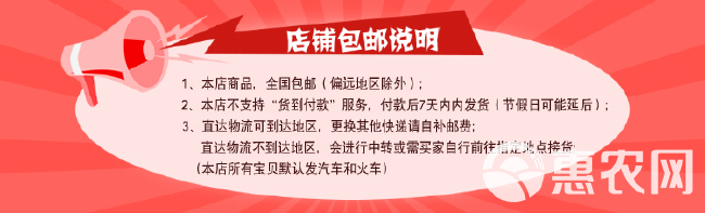 湖南麻鸭苗土鸭苗肉鸭苗毛色漂亮肉质鲜美纯种包打疫苗