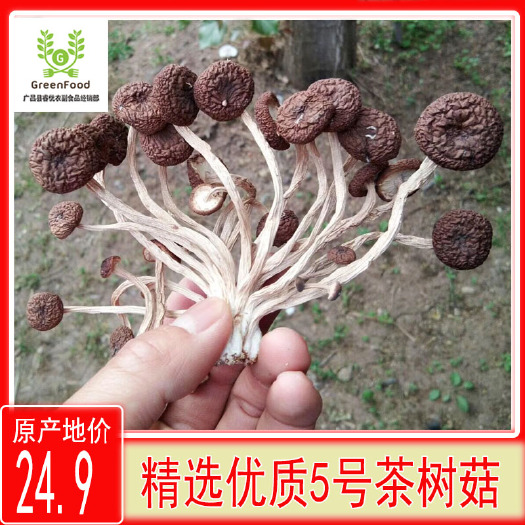 广昌县 茶树菇干货广昌5号茶树菇