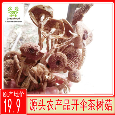 广昌县 广昌农家自产特级非野生开伞茶树菇干货250g包邮茶薪菇