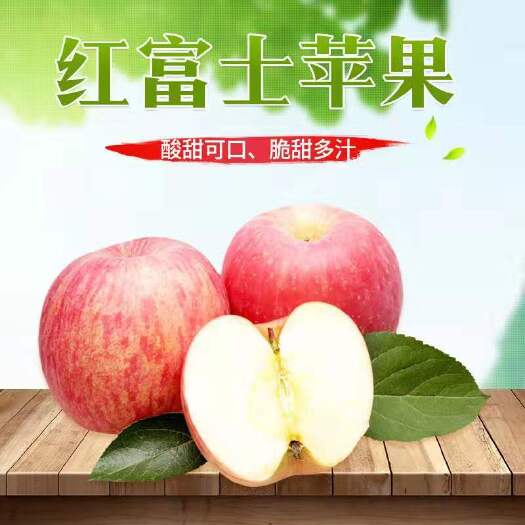 海阳市红富士苹果 山东红富士 脆甜多汁 产地直销 新鲜糖心 皮薄肉厚