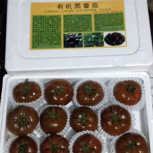 黑珍珠西红柿种子 黑番茄种子，紫色番茄种子，口感好，营养特色