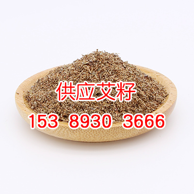 宜君县 供应艾草种子 艾籽 艾子