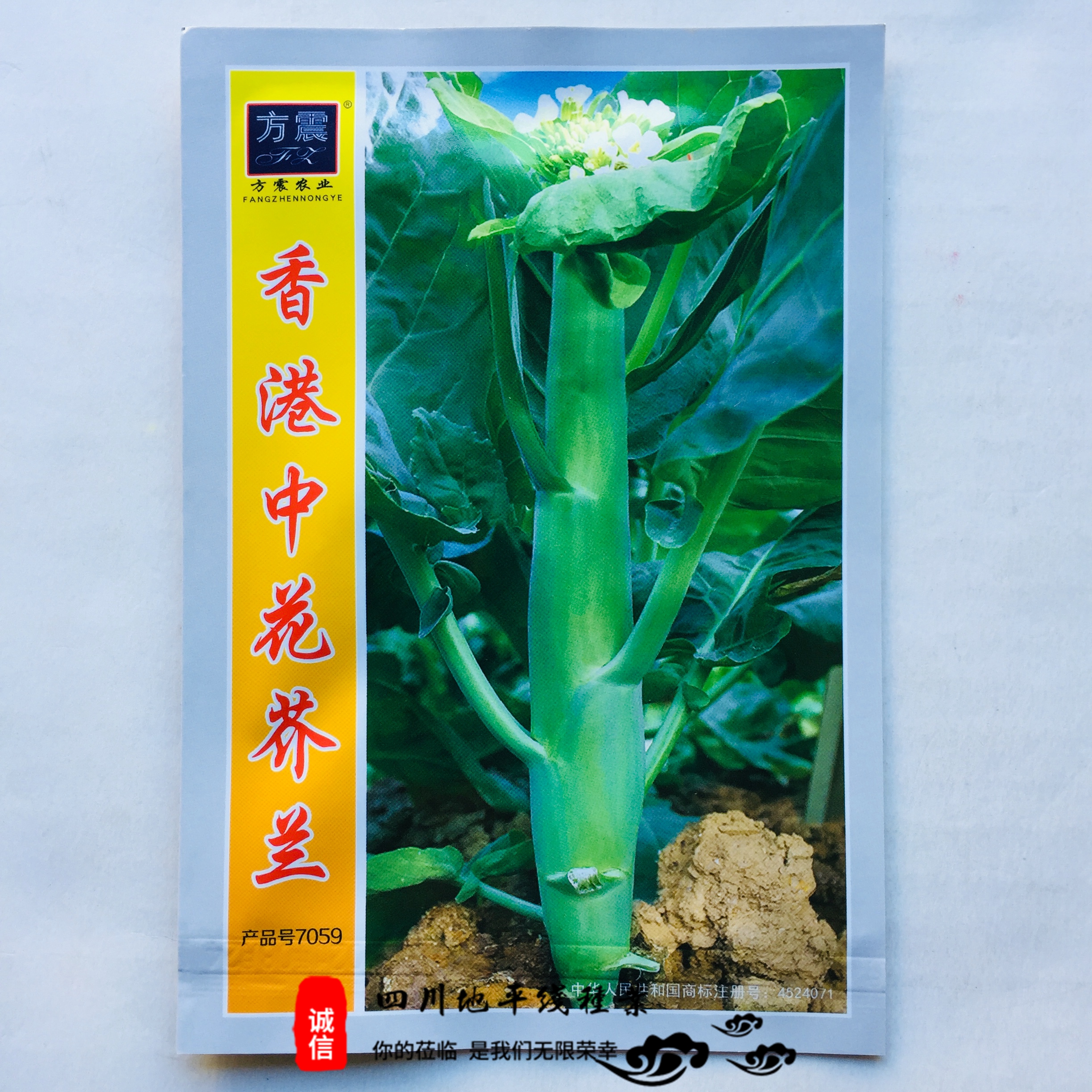各种芥兰种子香港中花芥兰种子各种特色菜种子四季种包邮