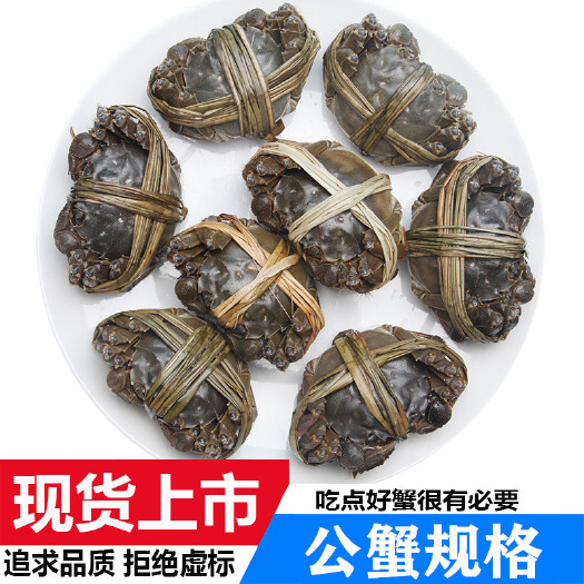 洪湖市洪湖大闸蟹 鲜活螃蟹 现货批发 死蟹包赔