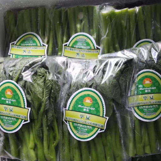 惠州opp包装袋，冷藏防雾袋，自粘袋样品