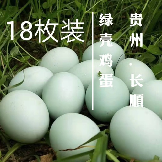 长顺县 正宗长顺县绿壳土鸡蛋 国家地理标志保护产品